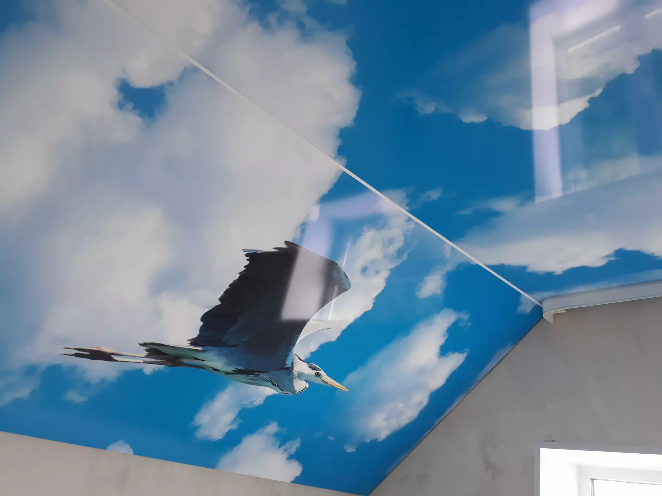 Липецк, Московская, 117, фото 1