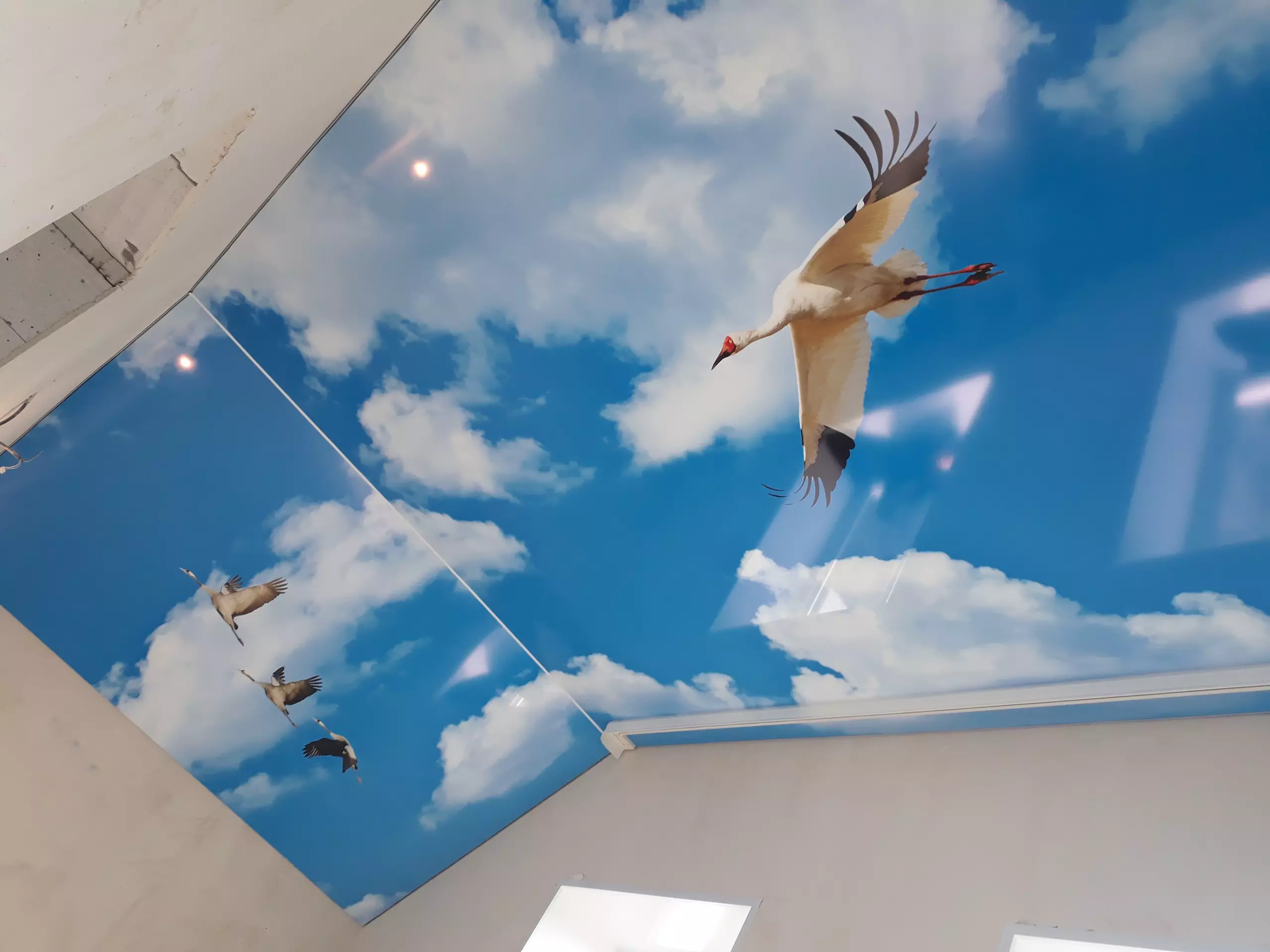 Липецк, Московская, 117, фото 2